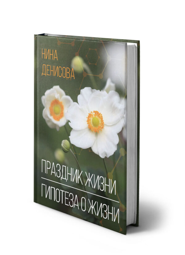 Нина Денисова, Праздник жизни, Гипотеза о жизни